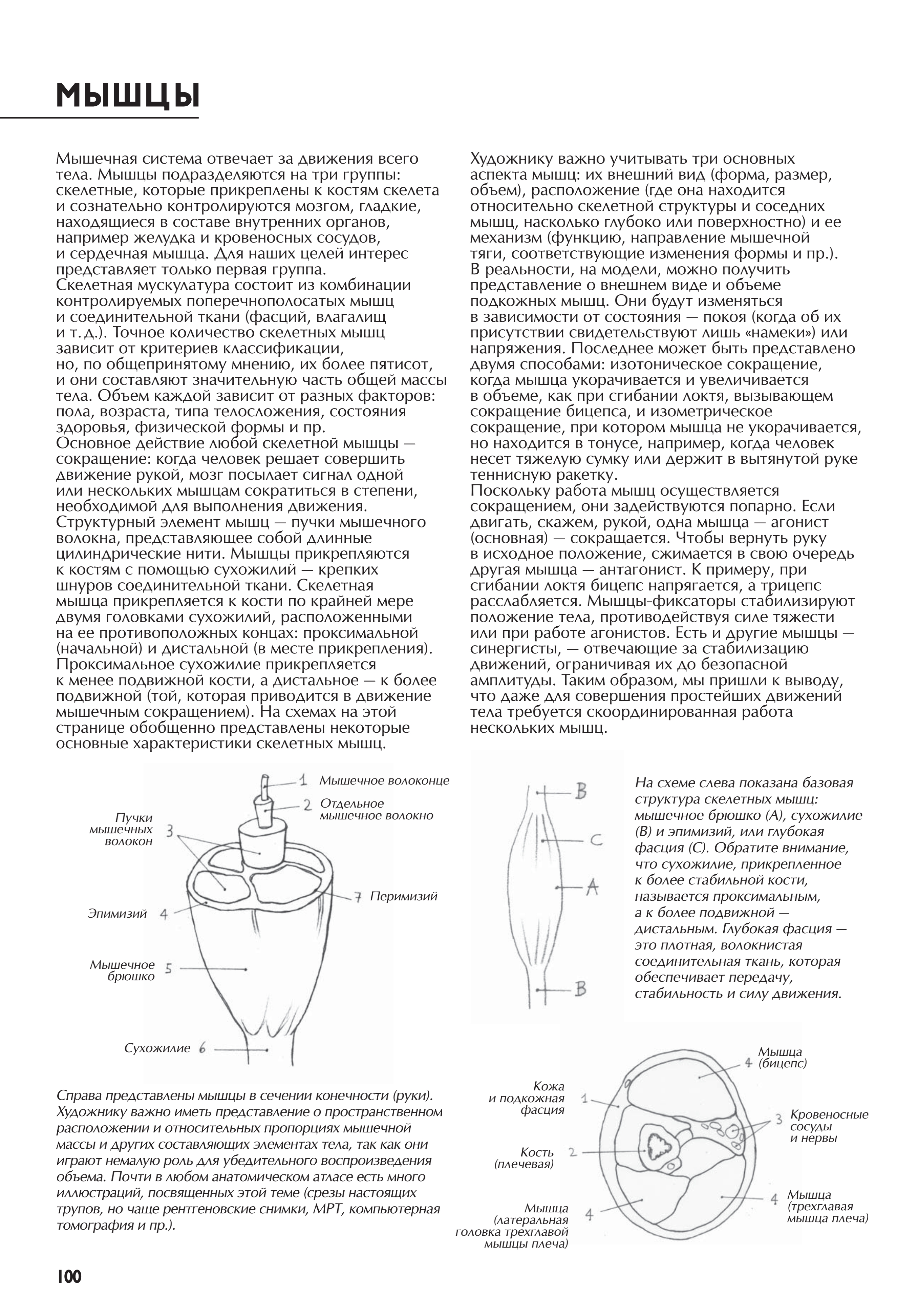 آموزش نقاشی طراحی سیاه قلم شهرری